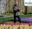 Jardin Keukenhof Inspirant Gardener Owen Shows You the Most Beautiful Hyacinths Of the Park Keukenhof Virtually Open