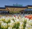 Jardin Keukenhof Luxe Keukenhof Tulip Gardens Amsterdam Holland Opening Hours