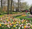 Jardin Keukenhof Nouveau Keukenhof Lisse 2020 All You Need to Know before You Go