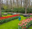 Jardin Keukenhof Unique Best Time to Visit Keukenhof Garden to See Tulips In Bloomð·