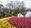 Jardin Keukenhof Unique Keukenhof Gardens 10 Tips to See Tulips In 2020