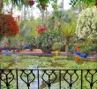 Jardin Majorelle Marrakech Génial Le Jardin Majorelle