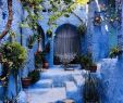 Jardin Menara Beau Exploring Chefchaouen because Morocco is More Than