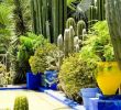 Jardin Menara Beau Stunning Desert Garden Ideas for Home Yard 64