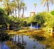 Jardin Menara Best Of Majorelle Garden