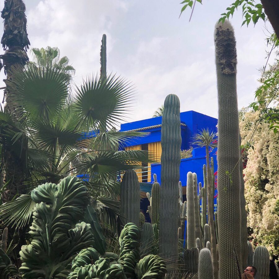 Jardin Menara Charmant Le Jardin Majorelle ð the Most Gorgeous Gardens Ever and