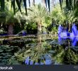 Jardin Menara Frais Jardin Majorelle Marrakech Morocco Stock Image