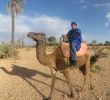 Jardin Menara Génial Riad Chambre D Hotes Palmeraie Lodge Reviews Morocco