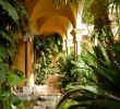 Jardin Menton Charmant 234 Best Menton Les Jardins Images