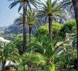 Jardin Menton Inspirant 234 Best Menton Les Jardins Images