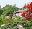 Jardin Nantes Beau Japanese Garden On the island Of Versailles – Nantes