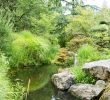 Jardin Nantes Beau Japanese Garden On the island Of Versailles – Nantes