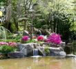 Jardin Nantes Charmant Japanese Garden On the island Of Versailles – Nantes