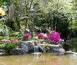 Jardin Nantes Charmant Japanese Garden On the island Of Versailles – Nantes