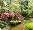 Jardin Nantes Élégant Japanese Garden On the island Of Versailles – Nantes