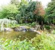 Jardin Nantes Frais Japanese Garden On the island Of Versailles – Nantes