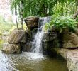 Jardin Nantes Génial Japanese Garden On the island Of Versailles – Nantes