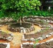 Jardin Naturel Charmant Permaculture Gardening with Woodchip Mulch and Natural