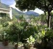 Jardin Nice Charmant File Majorque Valldemossa Chartreuse Musee Sand Chopin