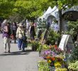 Jardin Nice Génial 21st Great Gardening Weekend at the Jardin Botanique May 25