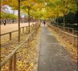 Jardin original Beau File Jardin Du Luxembourg Wikimedia Mons