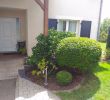 Jardin Paysager Exemple Best Of 100 [ Amenagement Jardin Paysager ]