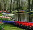 Jardin Paysager Exemple Frais Plantes D Intérieur   L Intérieur Japonais Info Et Photo