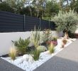 Jardin Paysager Exemple Génial Jardin Paysager Exemple Cl´tures Aluminium Mod¨le Brise Vue