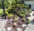 Jardin Paysager Luxe Amenagement butte Exterieur – Gamboahinestrosa