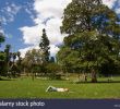 Jardin Public Bordeaux Beau Jardin Public Public Park In the City Bordeaux France