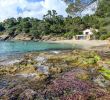 Jardin Rayol Canadel Beau Conservatoire Botanique Stock S & Conservatoire