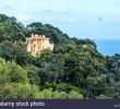 Jardin Rayol Canadel Frais Conservatoire Botanique Stock S & Conservatoire