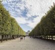 Jardin Royal Charmant H´tel Pavillon Louvre Rivoli