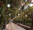 Jardin Royal Inspirant atocha Station Greenhouse Garden In Madrid 23 Reviews and