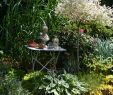 Jardin Royal Inspirant Jardin Ouvert   Verlain Neufchateau