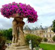 Jardin Royal Inspirant Reserva Jardines De Luxemburgo Par­s En Tripadvisor