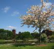 Jardin Royal Unique Laeken Castle – Brussels – tourist attractions Tropter