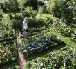 Jardin Septembre Nouveau 154 Best Potager Images In 2019