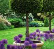 Jardin Service Nouveau English Garden with Lipop Yews and Allium Purple