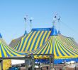 Jardin soleil Unique Cirque Du soleil – Wolna Encyklopedia