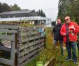 Jardin solidaire Beau Bastogne