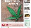 Jardin solidaire Best Of Ghi 19 12 2018 by Ghi & Lausanne Cités issuu