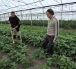 Jardin solidaire Charmant Le Jardin De La Voie Romaine