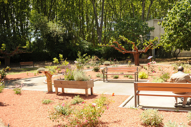 Jardin Thérapeutique Ehpad Élégant Un Parc Réhabilité Et Un Jardin