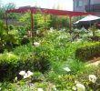 Jardin Thérapeutique Ehpad Génial 2010 – Jardin Sensoriel En Ehpad 92