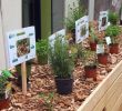 Jardin Thérapeutique Ehpad Nouveau Jardin Thérapeutique Au Centre Blanche Almage