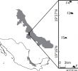 Jardin Tropical Inspirant Myrmecofauna Hymenoptera formicidae Response to Habitat