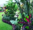 Jardin Tropical Luxe Tropical Garden Landscape Design Tropical Garden Landscape