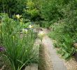 Jardin Tropical Vincennes Best Of 11 Best Parks and Gardens In Paris Tranquil Havens