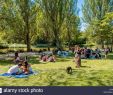 Jardin Tropical Vincennes Frais France Paris the Bois De Vincennes In Front Of Lake Saint